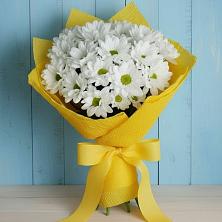 Букет цветов из:  Хризантемы в Пяозерский