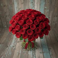 Букет 55 Красных роз Фридом #REPLACE_PRED# Пяозерский