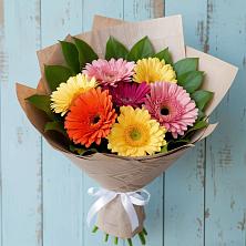 Букет цветов из:  Герберы в Пяозерский
