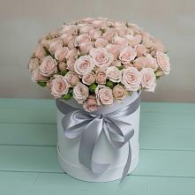 Цветочная композиция из Розы в шляпной коробке #REPLACE_PRED# Пяозерский