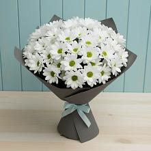 Букет цветов из:  Хризантемы #REPLACE_PRED# Пяозерский