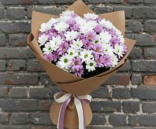 Букет цветов из:  Хризантемы в Пяозерский