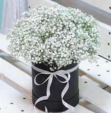 Цветочная композиция из Гипсофила в шляпной коробке #REPLACE_PRED# Пяозерский