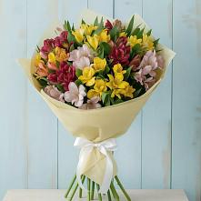 Букет цветов из:  Альстромерии в Пяозерский