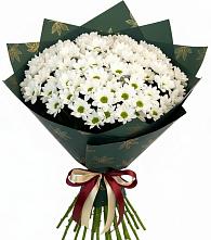 Букет цветов из:  Хризантемы #REPLACE_PRED# Пяозерский