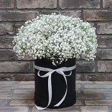 Цветочная композиция из Гипсофила в шляпной коробке в Пяозерский