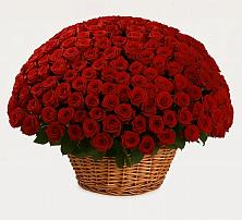 Премиум букет из: Розы #REPLACE_PRED# Пяозерский